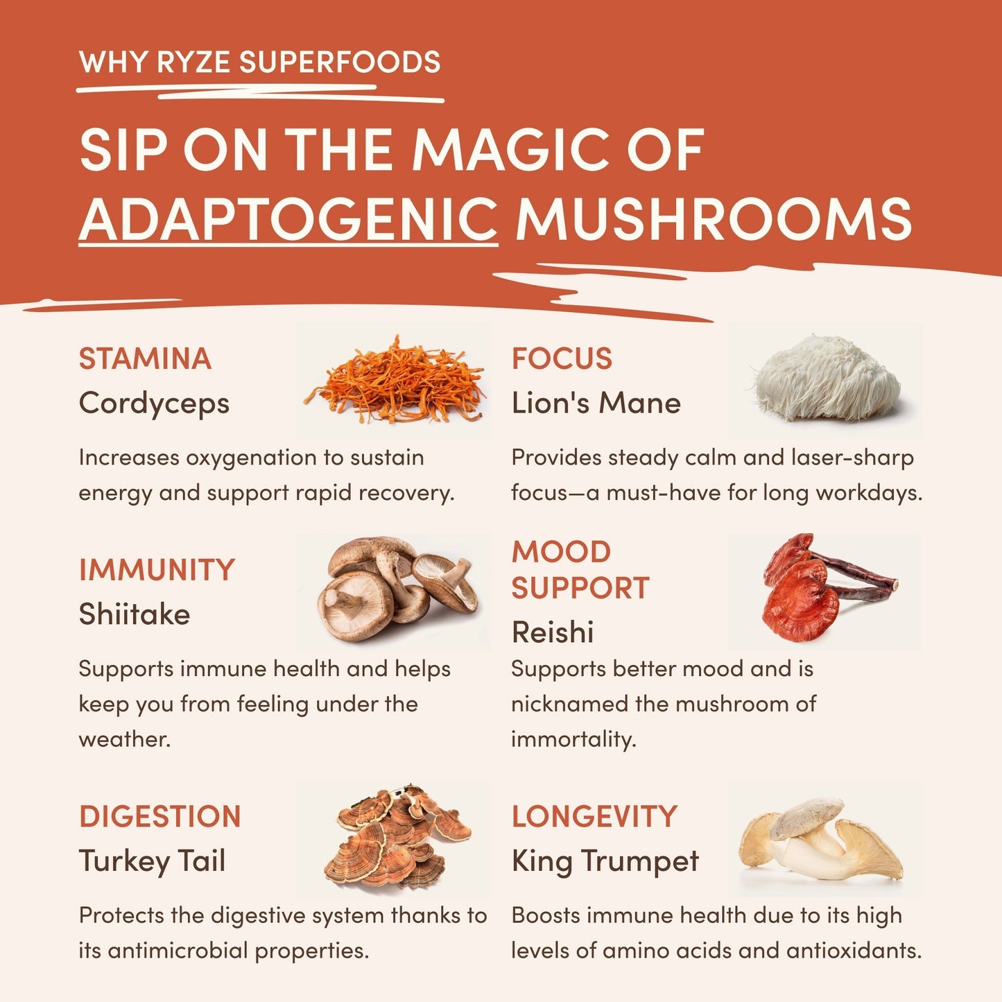 Superfood Creamer - Prime quwmo